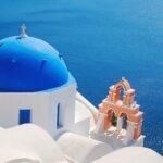 These insects carry enough bacteria to the cause