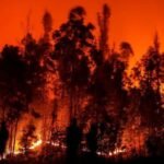 Chili : Incendies de forêt