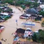 Avancées scientifiques pour la cécité