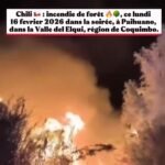 Haiti : Alerte du Syndicat de la PNH sur des badges expirés ou perdus.