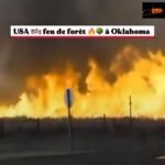 Initiative pour forcer l’administration de Donald Trump à respecter l’histoire de l’esclavage