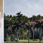 Mexico : Affrontements en cours entre l’armée mexicaine et le cartel CJNG